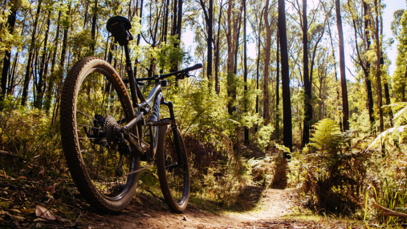 Best Bike Trails and Walking Paths Near Crookston | LeBlanc Realty