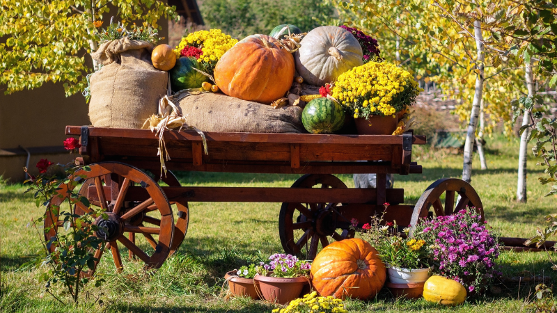 Fall Events and Festivals Around Crookston | LeBlanc Realty